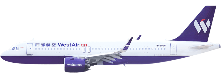 flight status