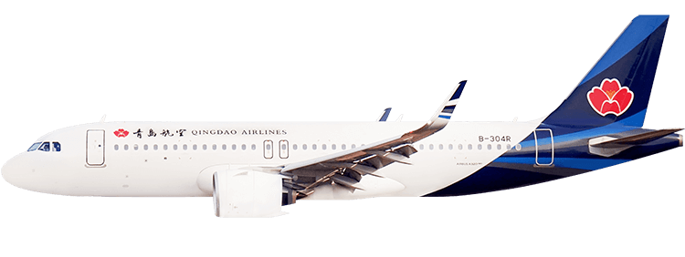 flight status