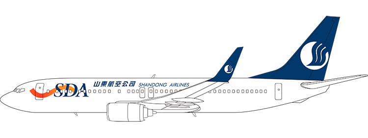 flight status