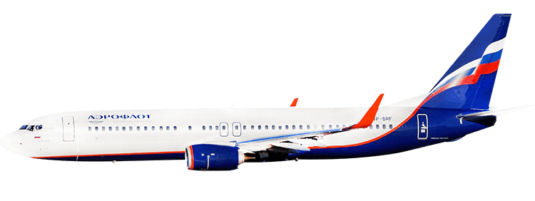 flight status