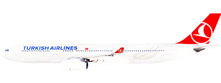 flight status