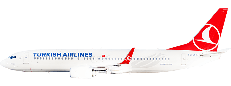 flight status