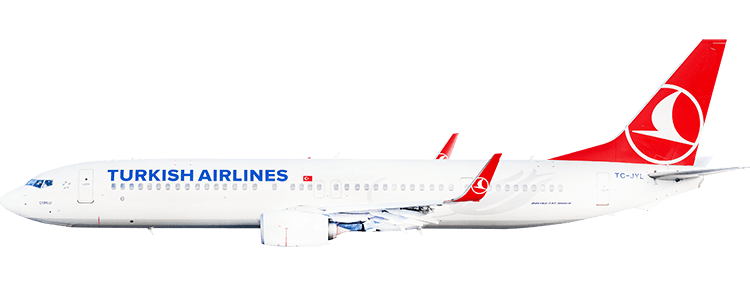 flight status