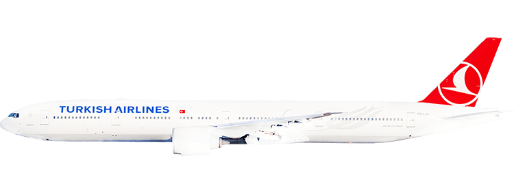 flight status