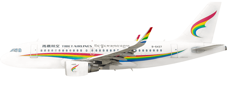 flight status