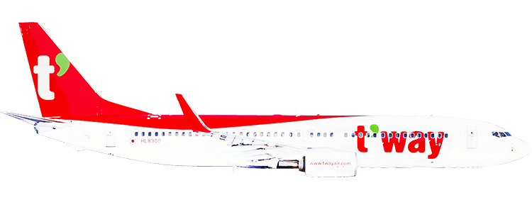 flight status