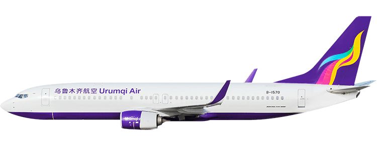 flight status