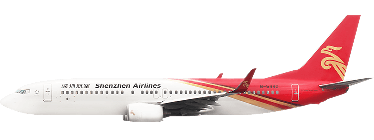 flight status