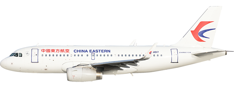 flight status