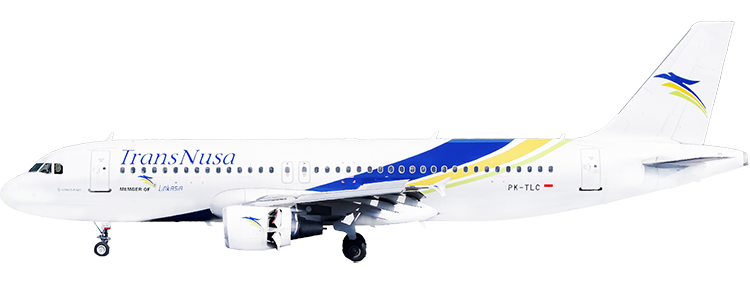flight status