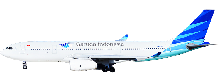 flight status