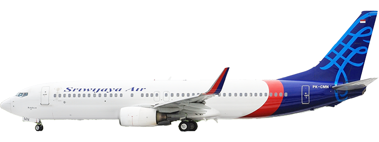 flight status