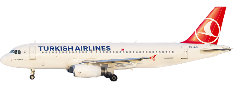 flight status