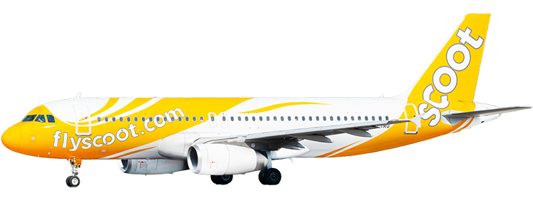 flight status