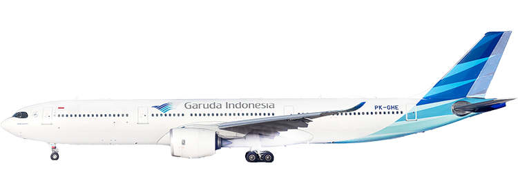 flight status