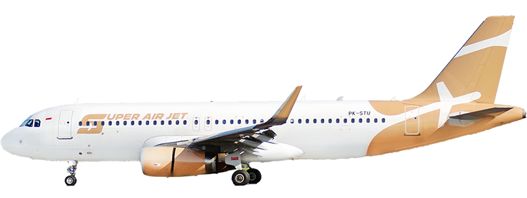 flight status