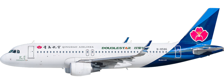 flight status