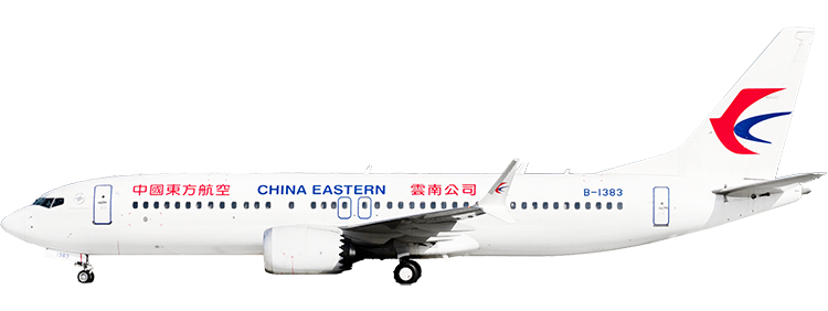 flight status