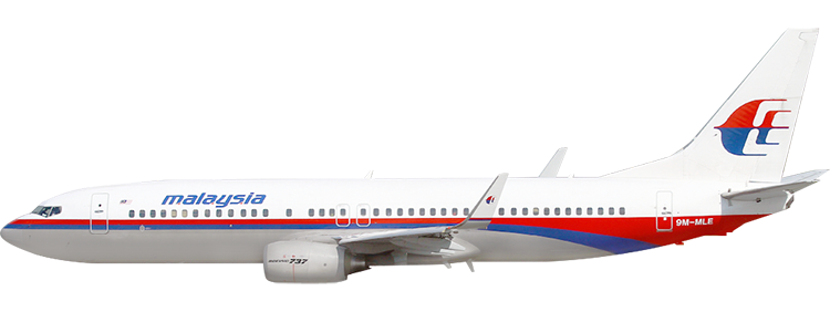 flight status