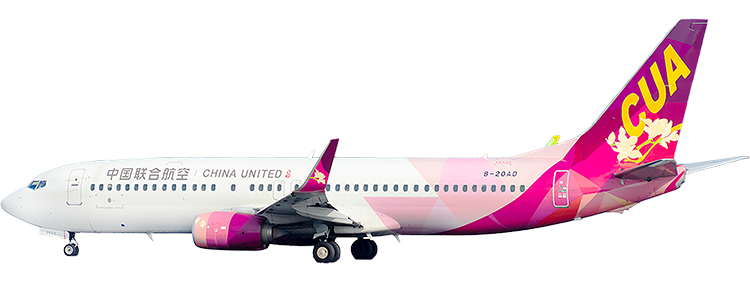 flight status