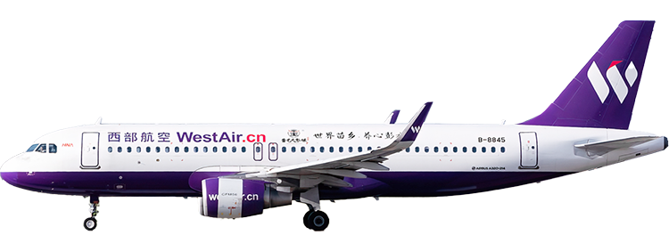 flight status