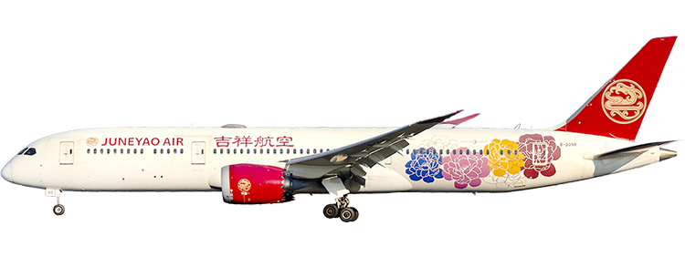 flight status