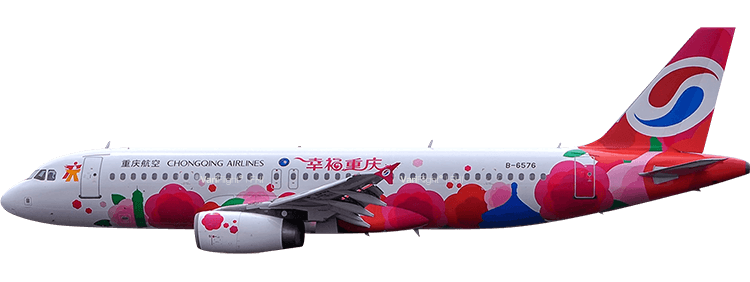 flight status