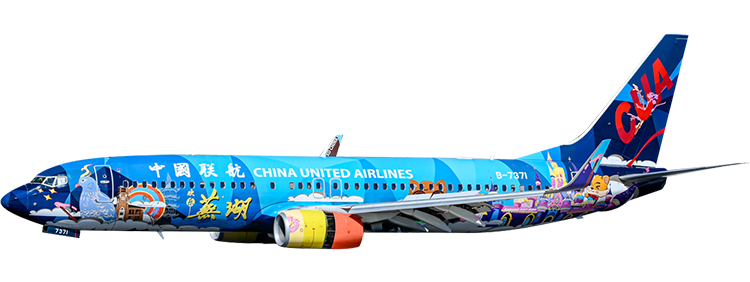 flight status