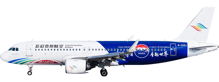 航空会社：多彩貴州航空(Colorful Guizhou Airlines) エアバス A320-212