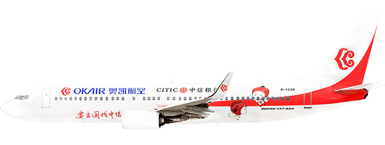 航空会社：奥凱航空 ボーイング 737-800