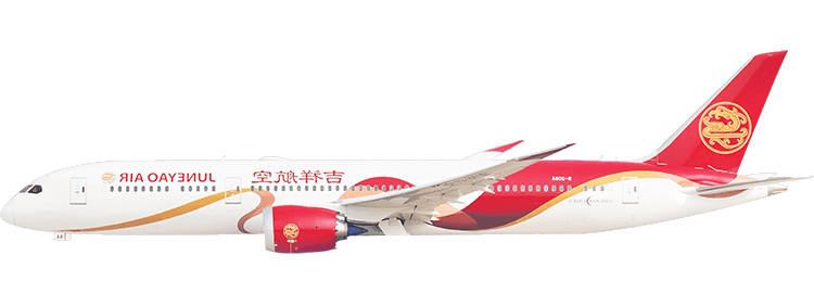 flight status