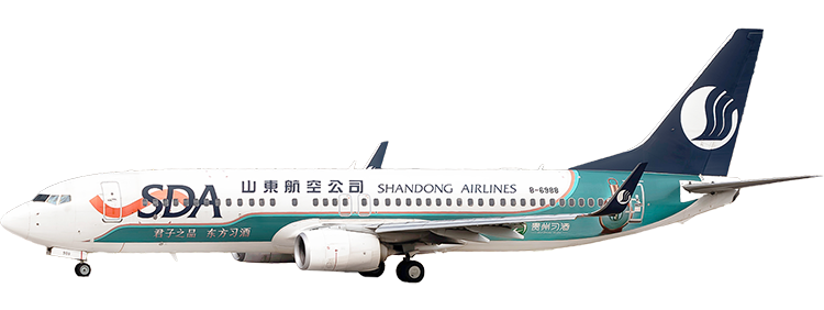 航空会社：山東航空 ボーイング 737-800