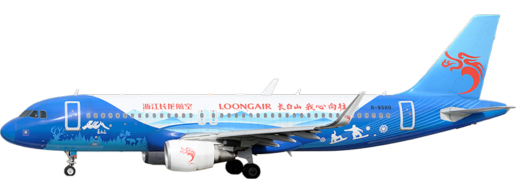 Airline: Loong Air Airbus A320