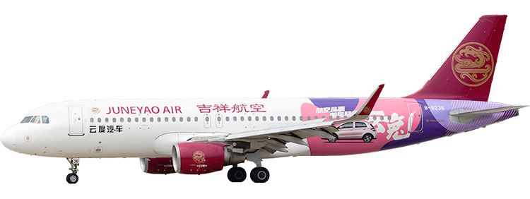 flight status