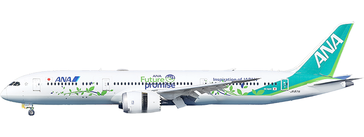 Airline: All Nippon Airways Boeing 787-9