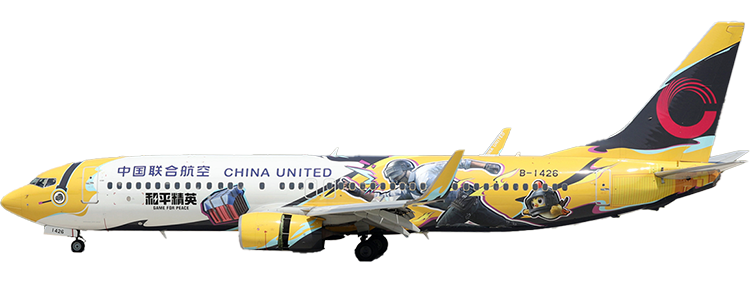 flight status