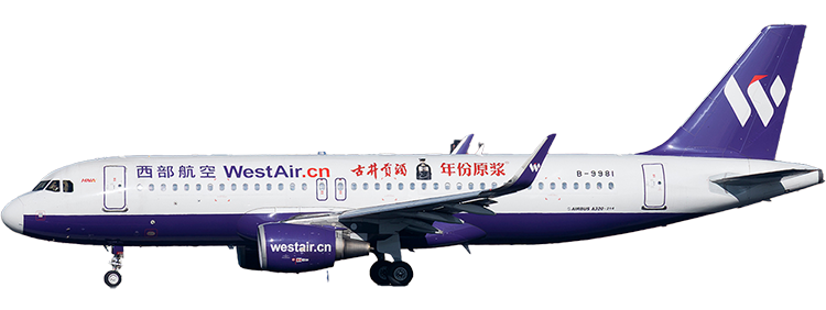 flight status