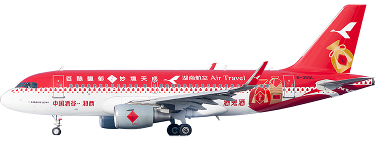 航空会社：湖南紅土航空 エアバス A319