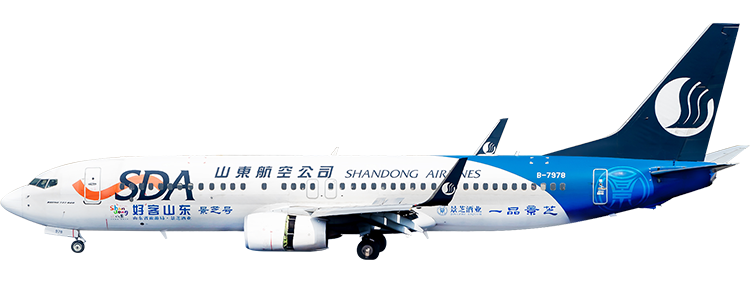 항공사: 산동항공 보잉 737-800