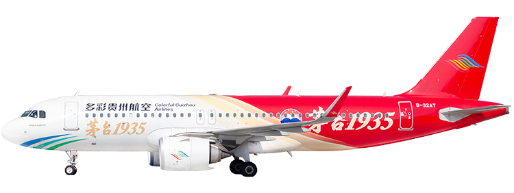Airline: Colorful Guizhou Airlines Airbus A320-212
