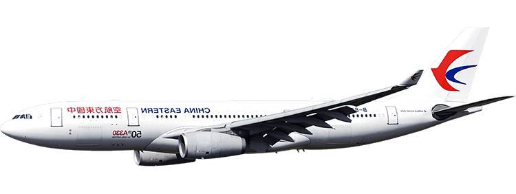 flight status