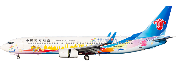 航空公司：中國南方航空 波音 737-800