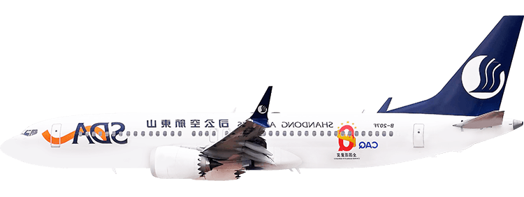 flight status