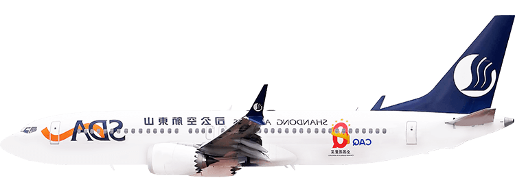 flight status