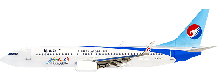 flight status