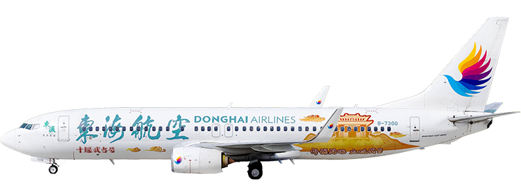 Airline: Donghai Airlines Boeing 737
