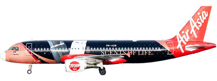 flight status