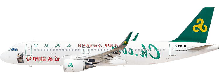 flight status