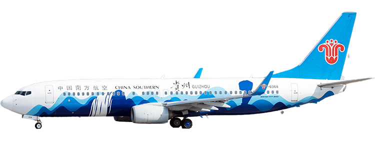 flight status