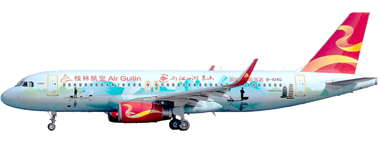 flight status